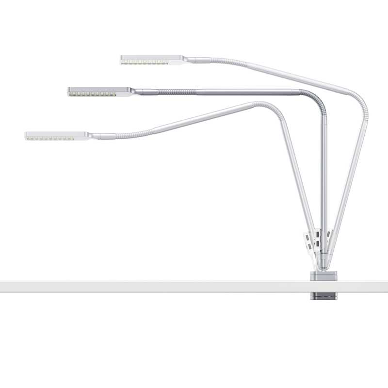 Moll FLEXLIGHT desk lamp Moll FLEXLIGHT desk lamp