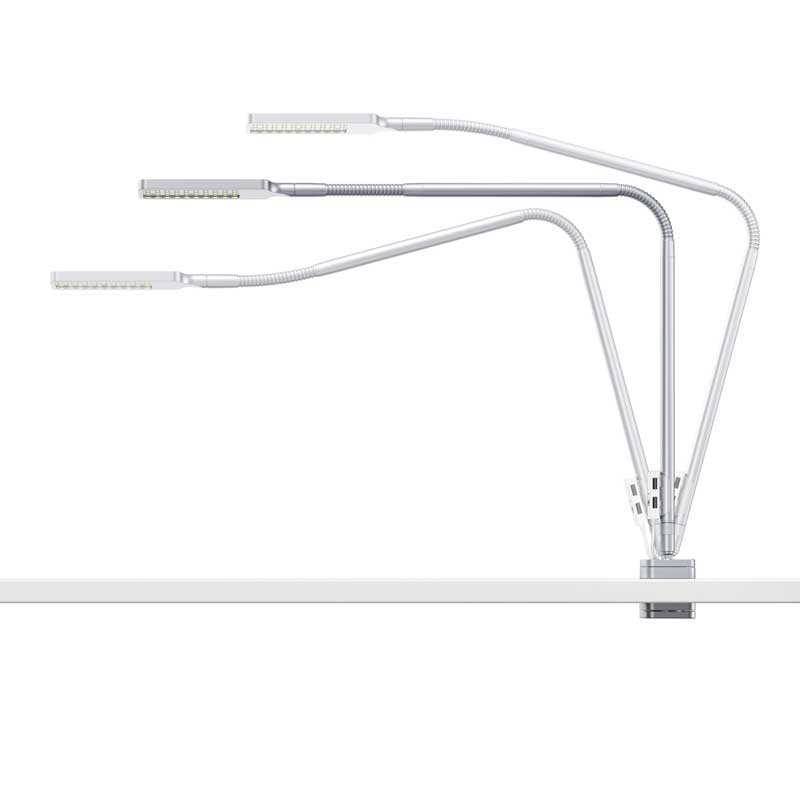 Moll FLEXLIGHT desk lamp