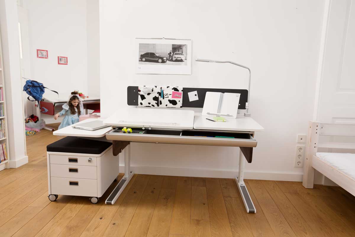 Moll FLEXLIGHT desk lamp Moll FLEXLIGHT desk lamp