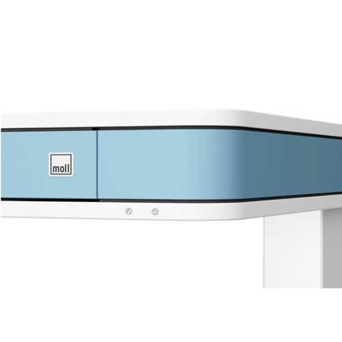 Moll T7 - The decorative panels