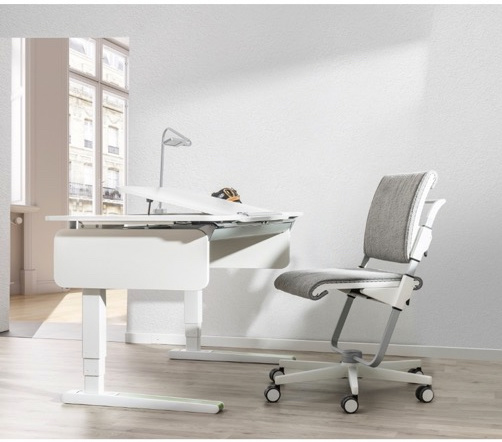 New Moll E-CHAMPION children active desk electric adjustable New Moll E-CHAMPION children active desk electric adjustable